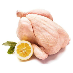 Frozen whole chicken (without Giblets) - chef2chef.online