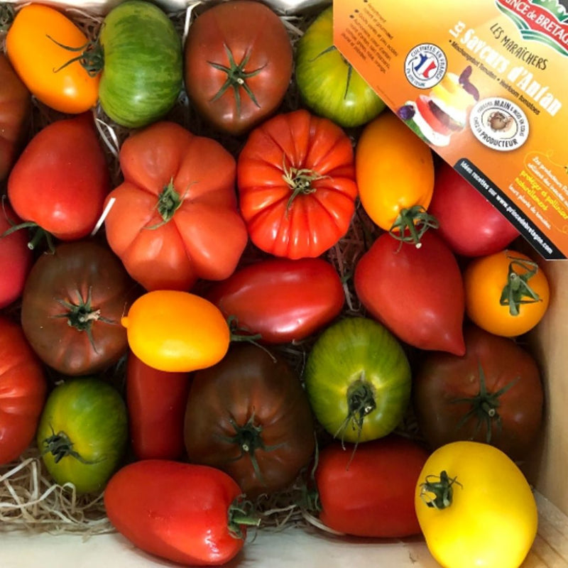 Heirloom Tomatoes (3,5 kg box) - chef2chef.online