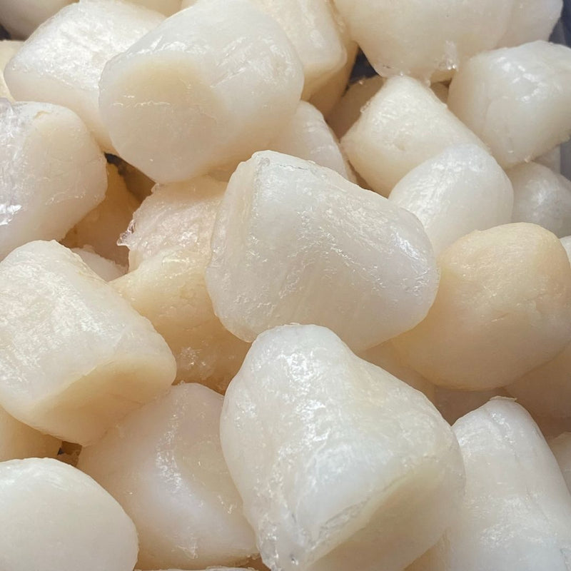 Large frozen scallops, 500 g - chef2chef.online