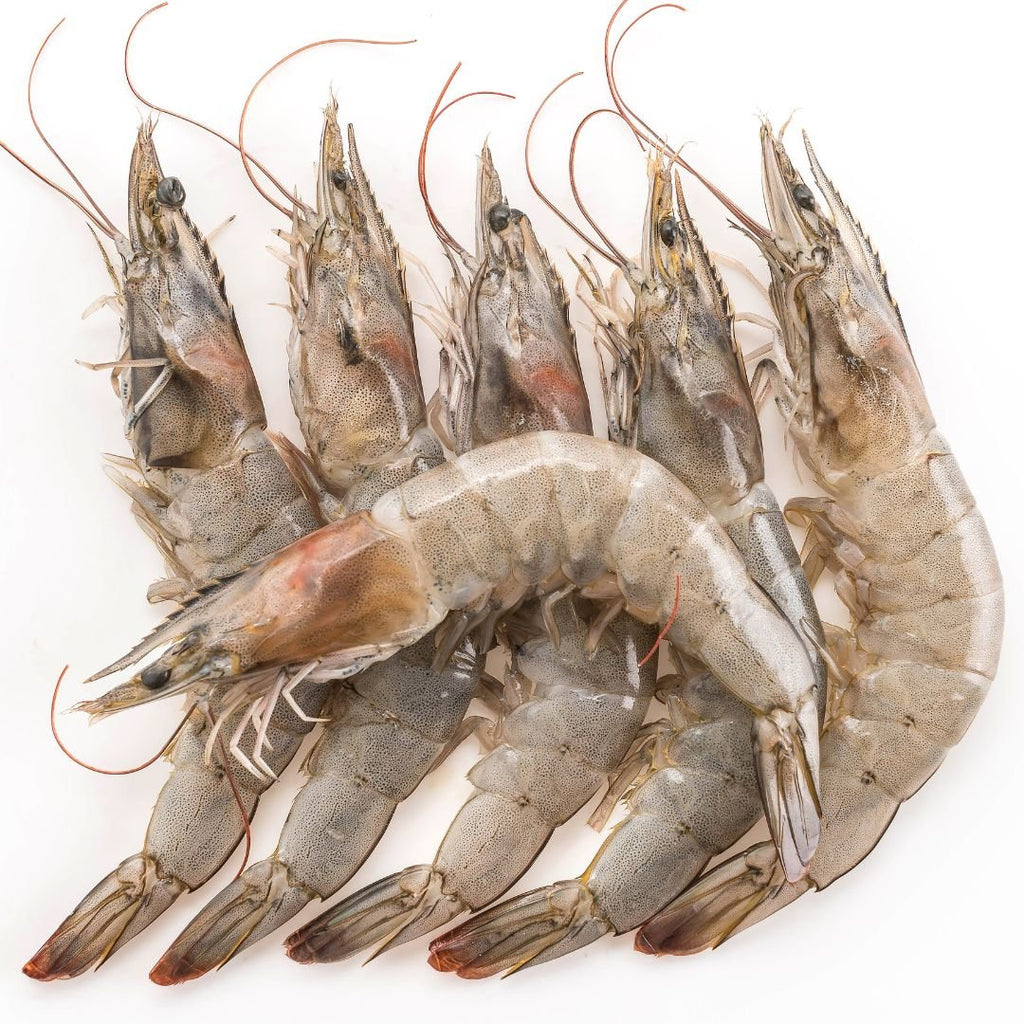 Monster Prawn Monster Tiger Prawns (U5) | chef2chef.online