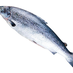 Whole Gutted Salmon (4-5kg +/- Pc) - chef2chef.online