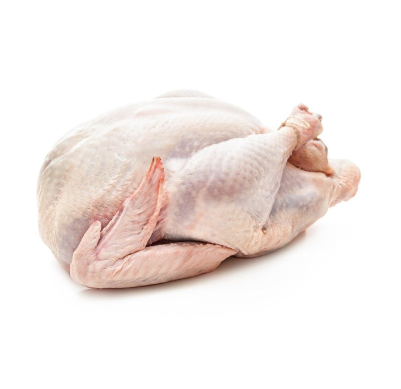 Whole Turkey 5-7 Kg (Frozen) - chef2chef.online